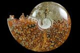Polished, Agatized Ammonite (Cleoniceras) - Madagascar #97313-1